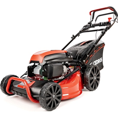 Hahn & Sohn Cedrus CEDKS48S