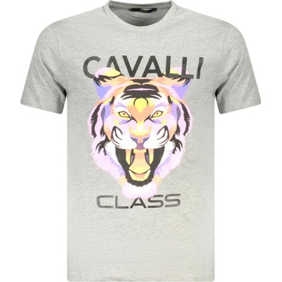 Cavalli class šedé