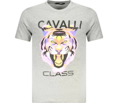 Cavalli class šedé