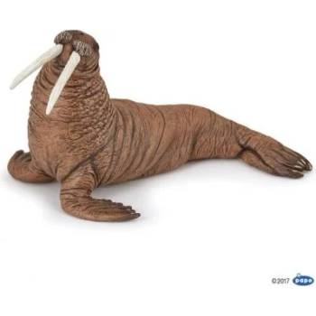 Image 1 of Papo - Фигурка за колекциониране и игра - Морж (56030)