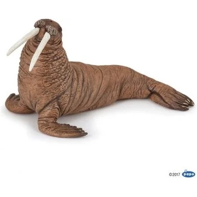 Papo - Фигурка за колекциониране и игра - Морж (56030)