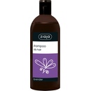 Šampony Ziaja šampon s výtažkem z levandule pro mastné vlasy Lavender 500 ml