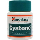 Doplňky stravy Himalaya Cystone 100 tablet