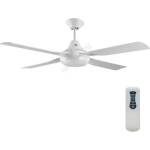 Lucci Air 212898