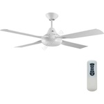 Lucci Air 212898