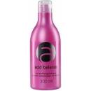 Stapiz Šampón na okyslenie vlasov Acid Balance 300 ml
