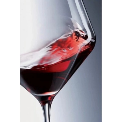 Zwiesel ČISTÝ Cabernet 2 x 540 ml