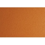 Fabriano Картон Colore, 50 x 70 cm, 140 g/m2, № 223, светлокафяв (43303223/2_AVANA)
