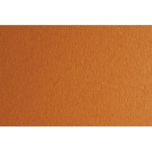 Fabriano Картон Colore, 50 x 70 cm, 140 g/m2, № 223, светлокафяв (43303223/2_AVANA)
