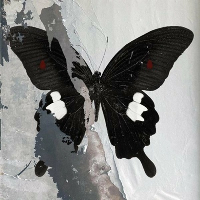 Death Cult - Paradise Now White LP