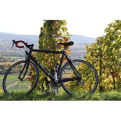 Vinařská cyklistická úniková hra krajinou Modrých Hor na jižní Moravě