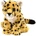 leopard mládě