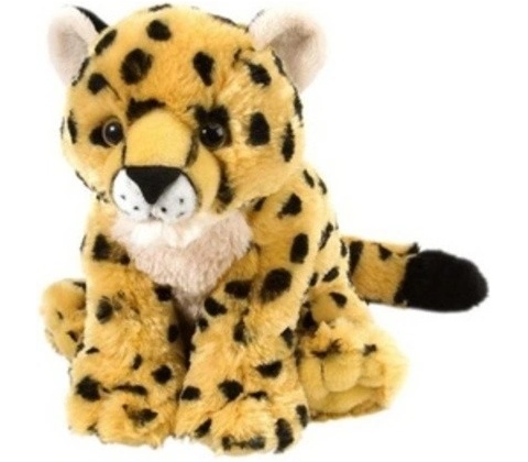 leopard mládě
