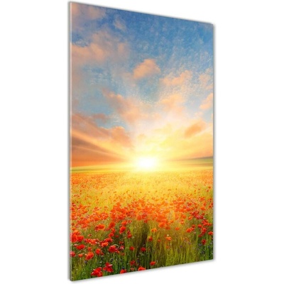 Vertikálny foto obraz sklenený Pole makov 50x100 cm