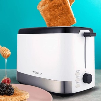 Image 1 of Tesla Electronics TS300BWX