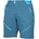 PROGRESS Genius shorts m