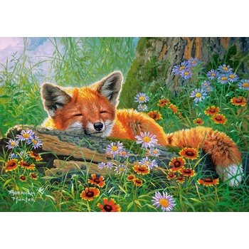 Castorland - Puzzle Foxy Dreams 500 - 500 piese