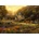 Grafika Art Puzzle - Puzzle Pinson: The Golden Valley III - 1 000 piese