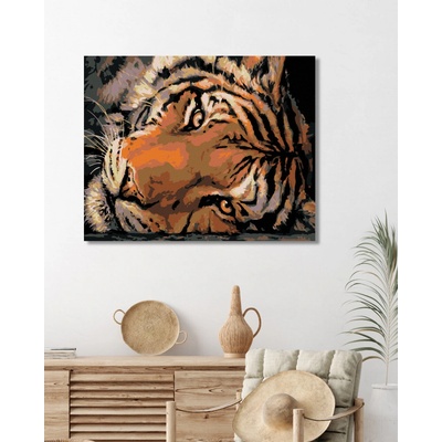 Zuty Malování podle čísel JASNÝ TYGŘÍ POHLED