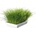 TRIXIE Grass котешка трева смес за покълване на семена за котешка трева 100gr