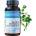 Bioherba Bacopa Monniera 10: 1 Extract 50 mg [100 капсули]