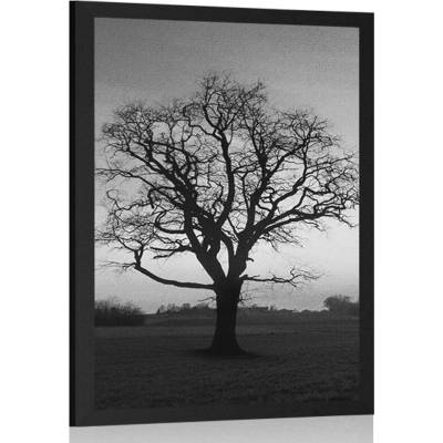 Plakát okouzlující strom v černobílém provedení - 40x60 no frame