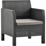 vidaXL Градински стол с възглавница, антрацит, 63x65x76 см, PP ратан (315639)