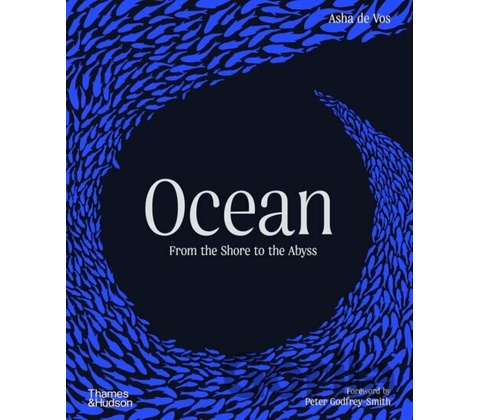 Ocean - Asha de Vos