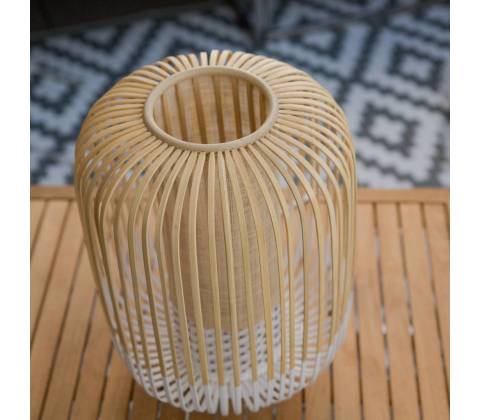 Forestier 20978