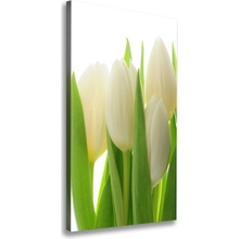 Vertikálny foto obraz na plátne Biele tulipány 50x100 cm