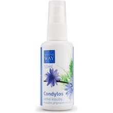 Divine Way Condylos Bylinný sprej 50 ml