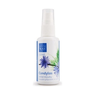 Divine Way Condylos Bylinný sprej 50 ml