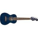 Fender Dhani Harrison