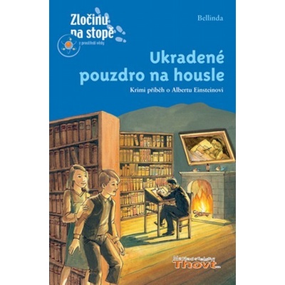 Ukradené pouzdro na housle Rodik Belinda