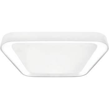 Image 1 of MILAGRO Quadro ML7931