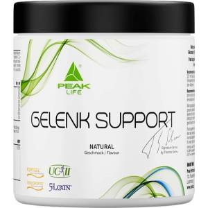 Peak Gelenk Support | with TENDOFORTE®, FORTIGEL® & UC-II [360 грама] Неовкусен