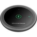 Grandstream GMD1208