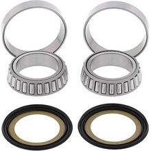 22-1039 ALL BALLS opravná sada krku riadenia APRILIA CAPONORD, RST, RSV, TUONO, DUCATI MONSTER, MULTISTRADA, PANIGALE