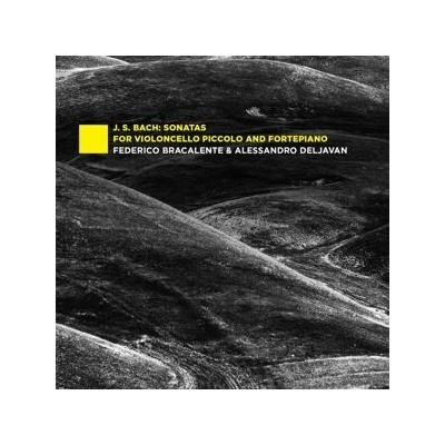 BRACALENTE, FEDERICO - J.S. BACH: SONATAS FOR VIOLONCELLO PICCOLO AND FORTEPIANO CD