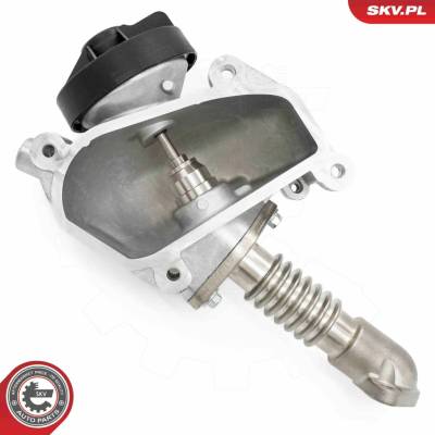 AGR - Ventil ESEN SKV 14SKV257