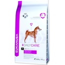 Eukanuba Daily Care Sensitive Digestion 2,5 kg