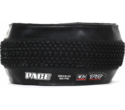 Maxxis PACE 29x2.10