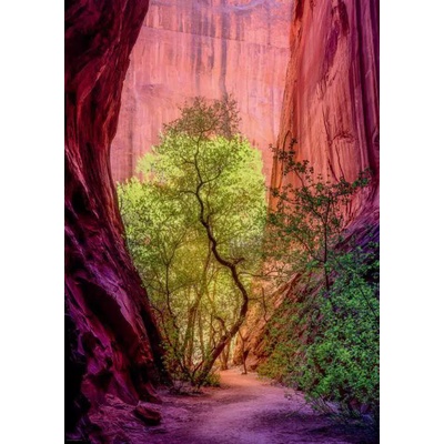 Heye - Puzzle Singing Canyon - 1 000 piese