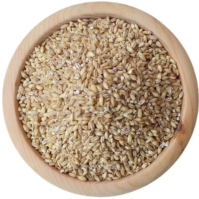 Dobrio Ječmen nahý BIO na váhu 1 kg