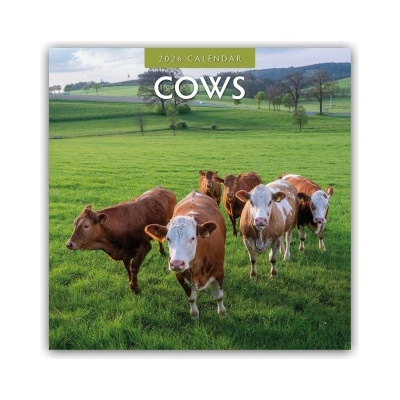 Browntrout Verlags GmbH Cows - Kühe 2026 - 16-Monatskalender | Red Robin