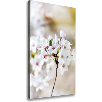 Vertikálny foto obraz canvas Kvety višne 50x100 cm
