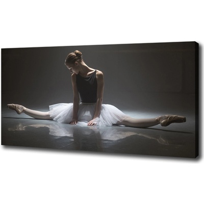 Foto obraz na plátne Baletka 100x50 cm