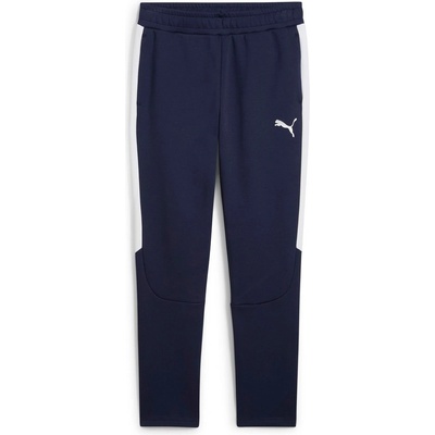 Puma TEAMEvostripe pants 659948-06