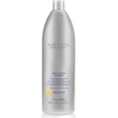 FarmaVita Amethyste Regulate Sebo Control Shampoo Léčebný šampon 1000 ml