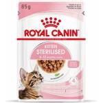 Royal Canin Kitten Sterilised in gravy 12x85 g